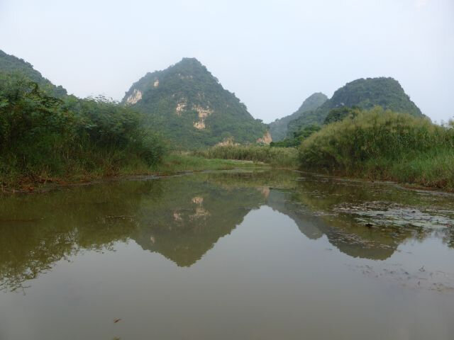 a29