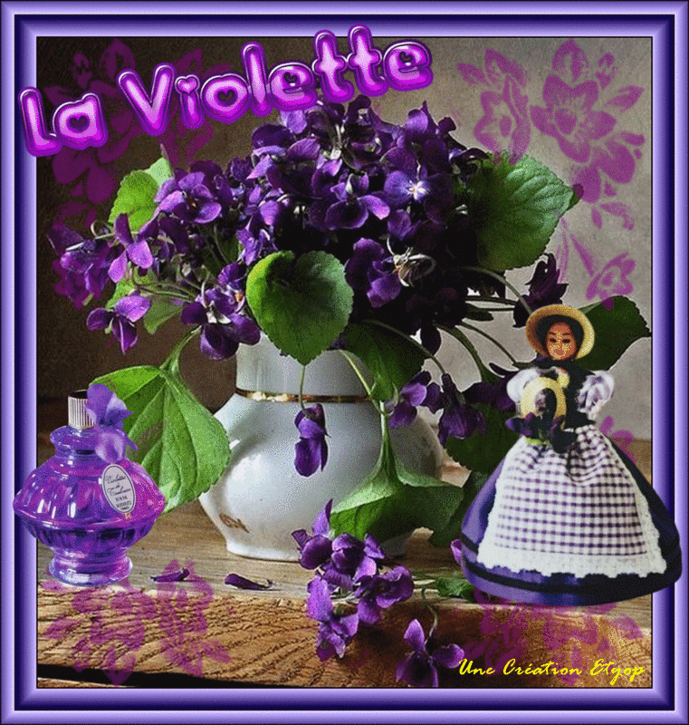 Violette2024