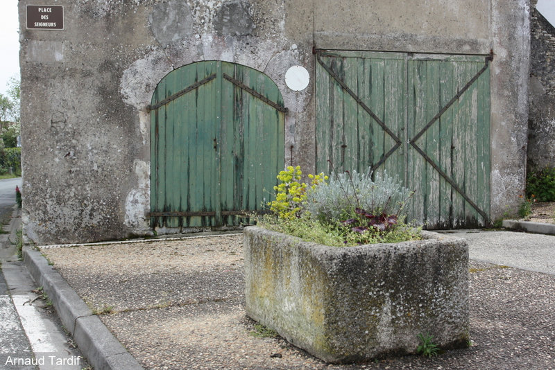 001113 Oléron Avril 2022 - L'Ile à côté de St Georges