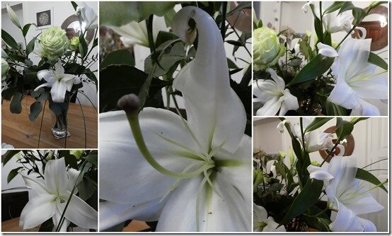 anniversaire 10 mars 20213