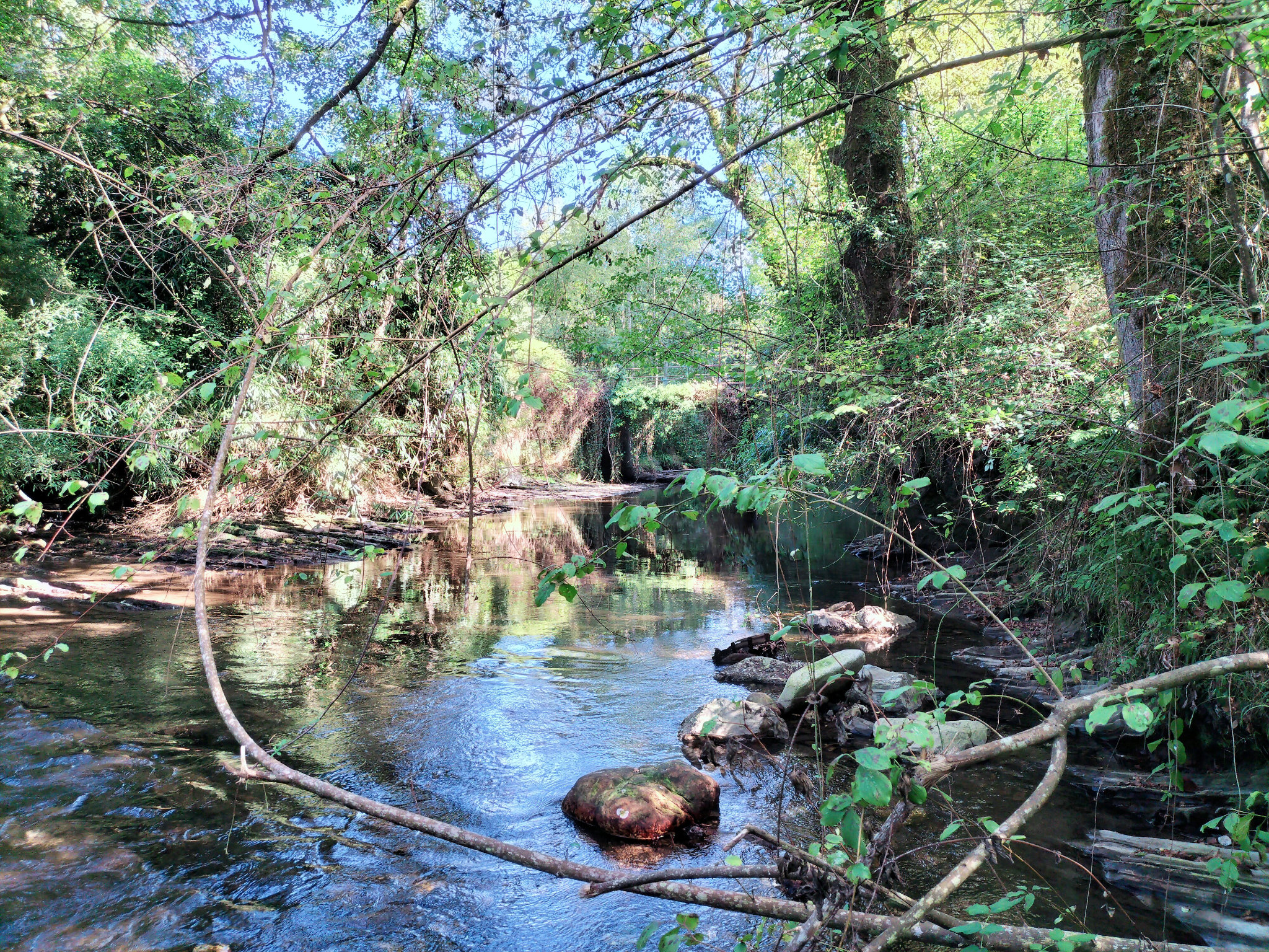 Ainhoa, le long de la rivière