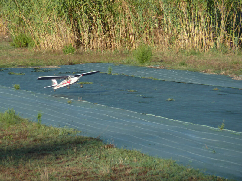 P1080384