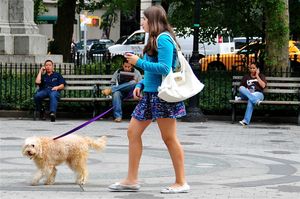 marcher avec votre chien