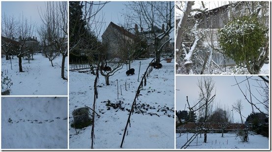 jardin 19 janvier 20242