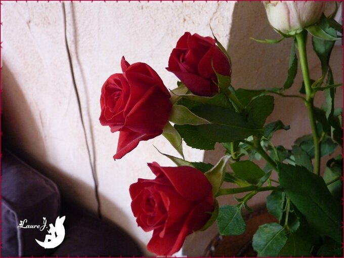 bouquet Amour 5