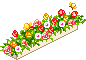 jardinière fleurs