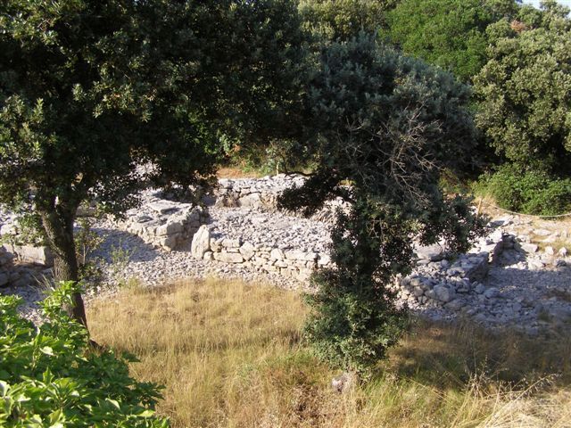 Site préhistorique de Cambous (15)