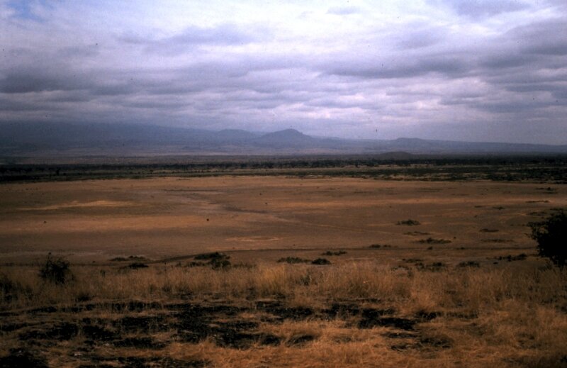 amboseli paysage g
