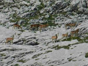 Rando Vercors Col 2 soeurs SSCN2256 (10)