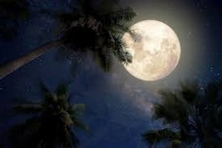 Lune-Pleine dans le ciel