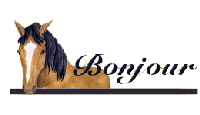 bonjour_cheval