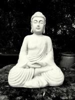 Bouddha N&B