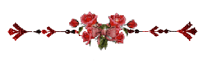 Gif barre animée scintillante et roses PM 300 pixels