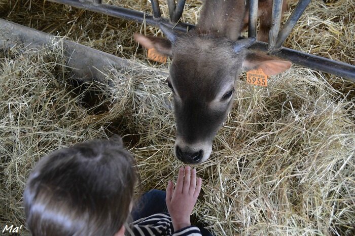 160423_ferme_combes_3
