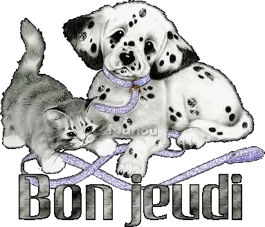 BON_JEUDIN_chat_et_chien_noir_et_blanc