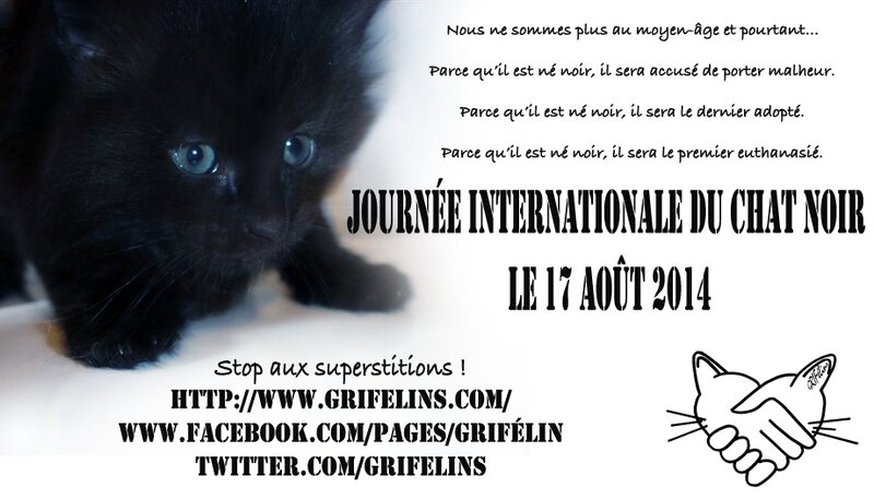 BlackCatGRIF