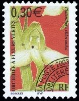 Orchidee_verte_2003