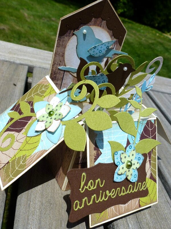 Carte-3D-oiseaux3