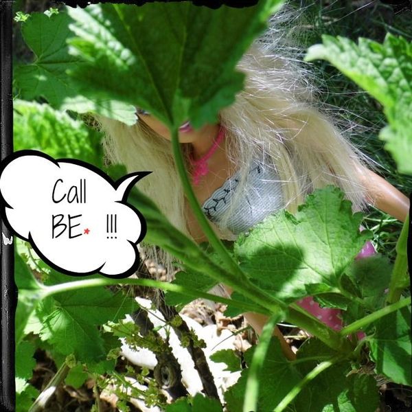 B___l_aide_Avril_2013