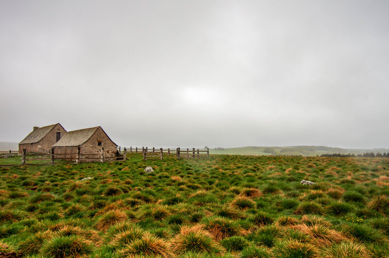 2018-05-01 aubrac (13)