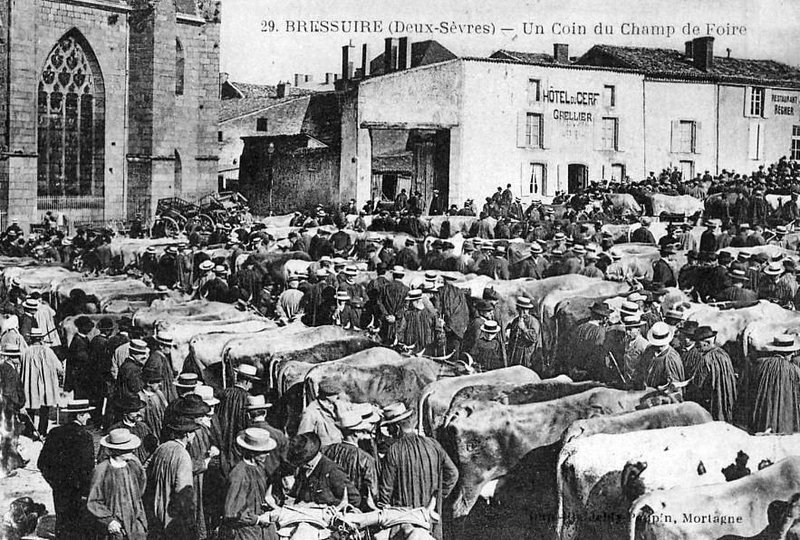 Bressuire marché z