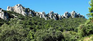 dentelles de montmirail