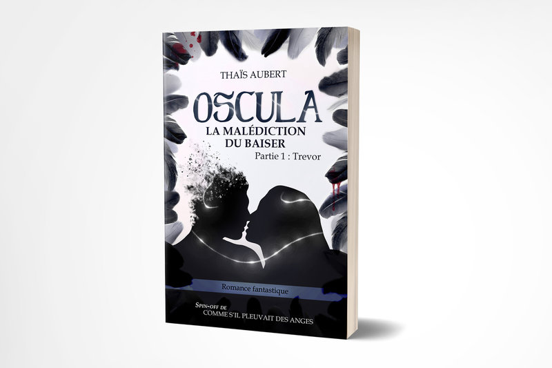 mockup covervault test 1 copie