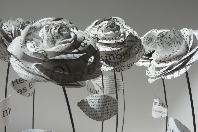 Détail roses littéraires