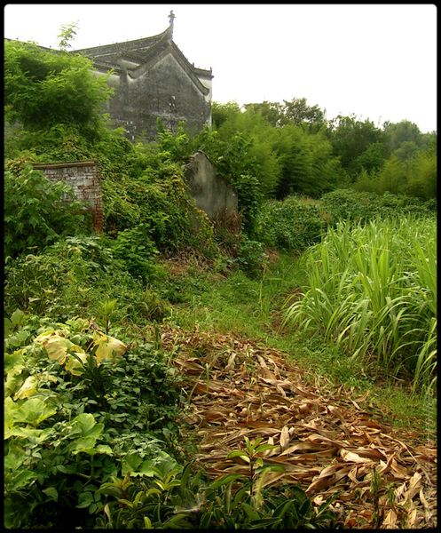 campagne du huizhou 09