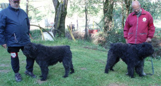 Diwal et Foster ...deux DULLAGUE