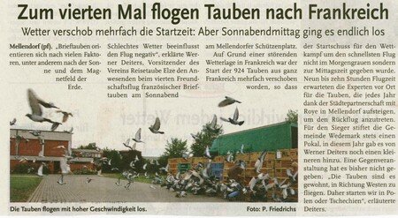 Article_allemand