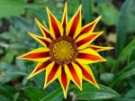 Jardin-des-plantes-2020-3-scaled