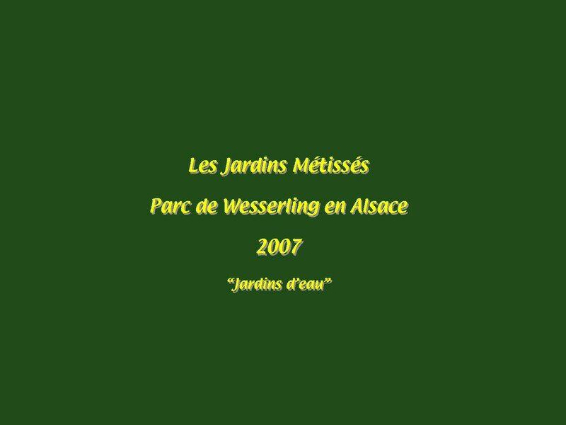 Le festival des jardins Métissés, version 2007