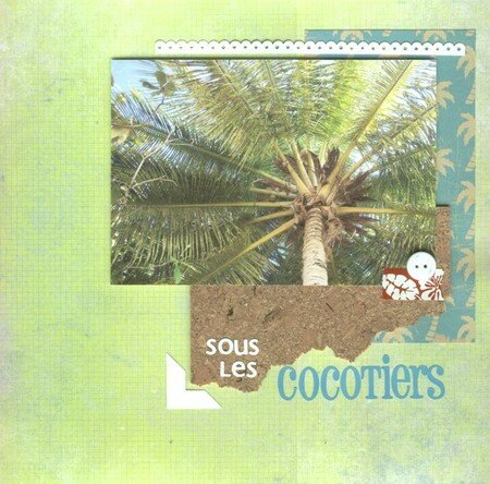 R_sous_les_cocotiers