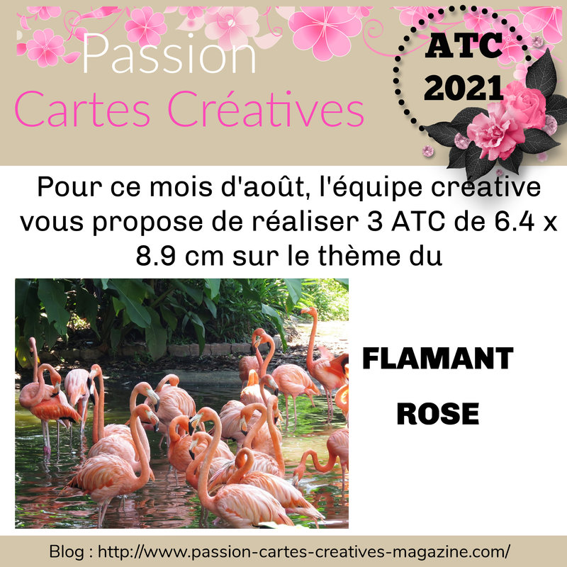 ATC - 1er août 2021 -FLAMANT ROSE