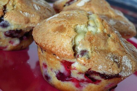 DSC_7820_Brioche_express_fruits_rouges