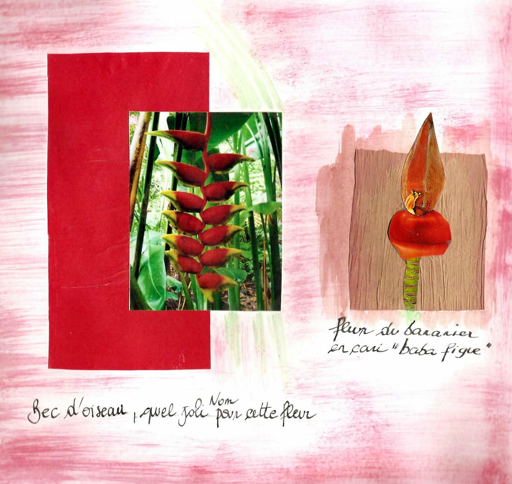 Rouge de plaisir bis