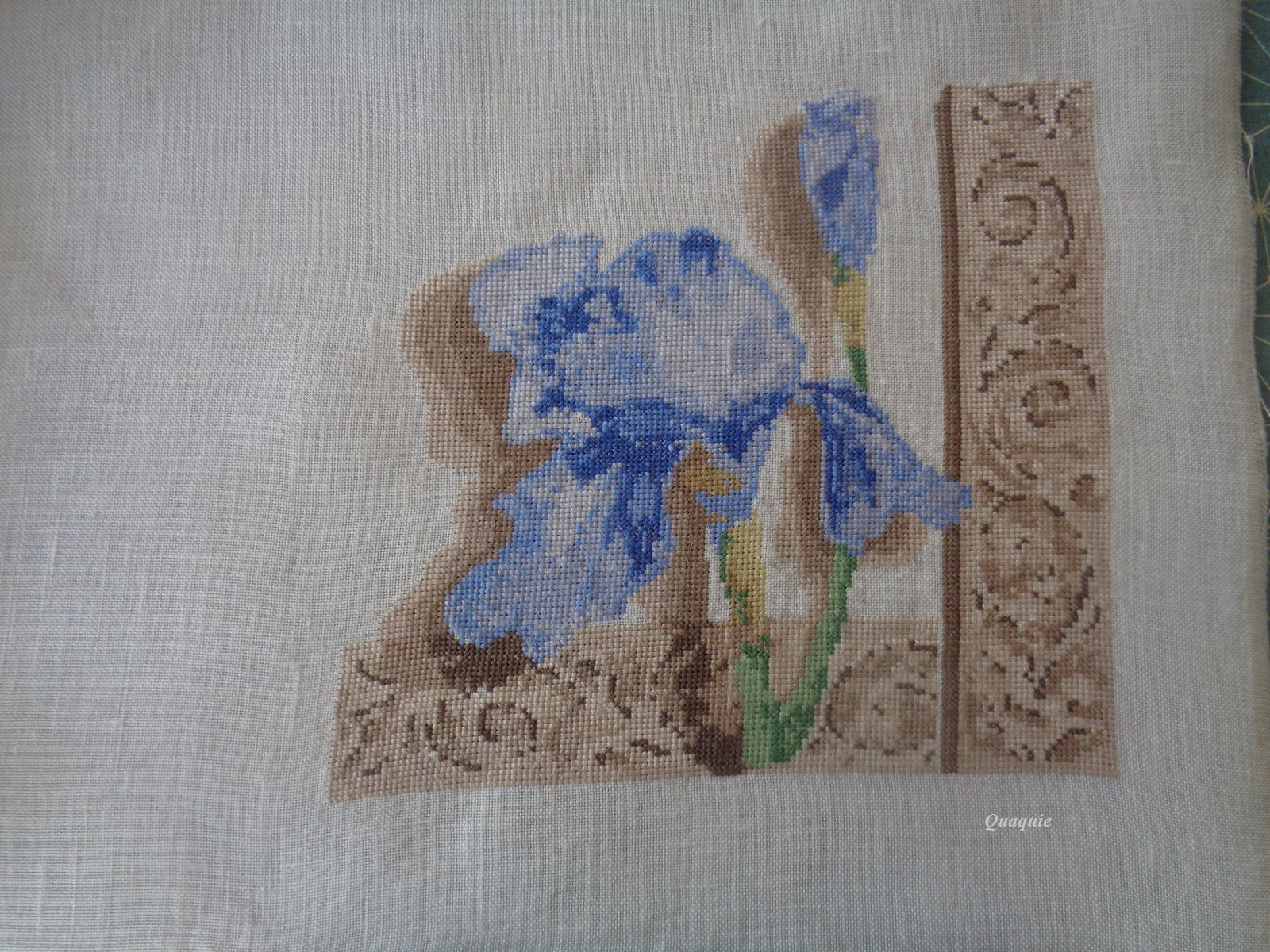 le bel iris