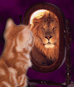 2010_0624_Mirror_Cat_Lion