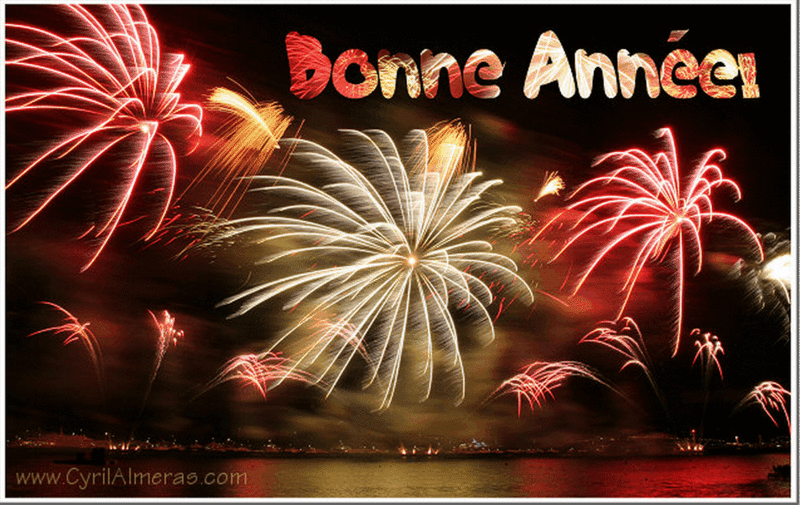 2014-01-02_Bonne Année