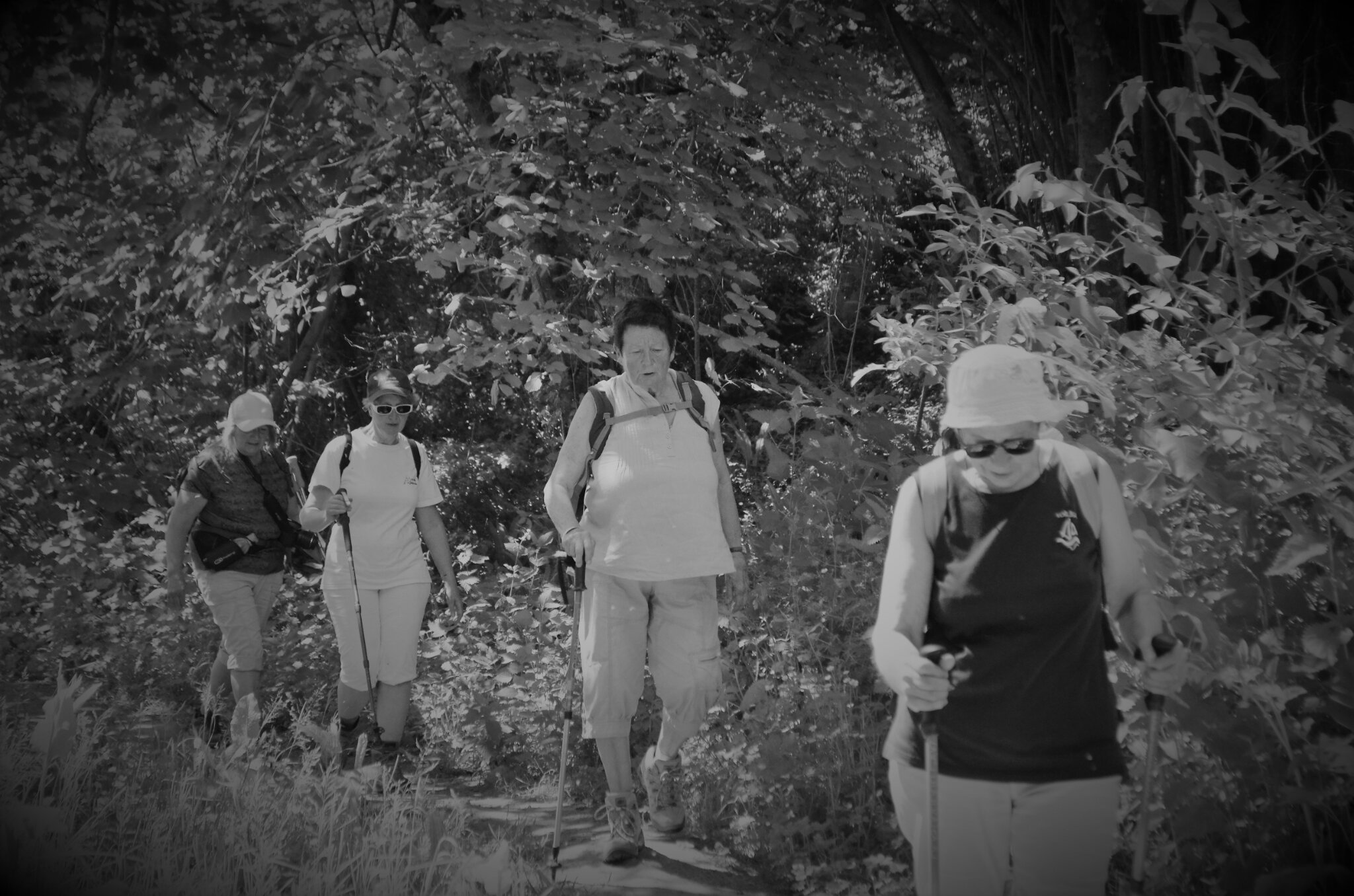 DSC_0036 (2)