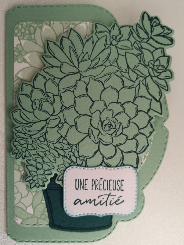 8b Carte Etiquette à célébrer Bouquet de Succulentes