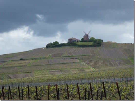 Moulin de Verzenay (Marne) (6)