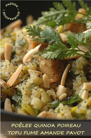 Po_l_e_de_quinoa_poireau_tofu_fum__amande_pavot_2