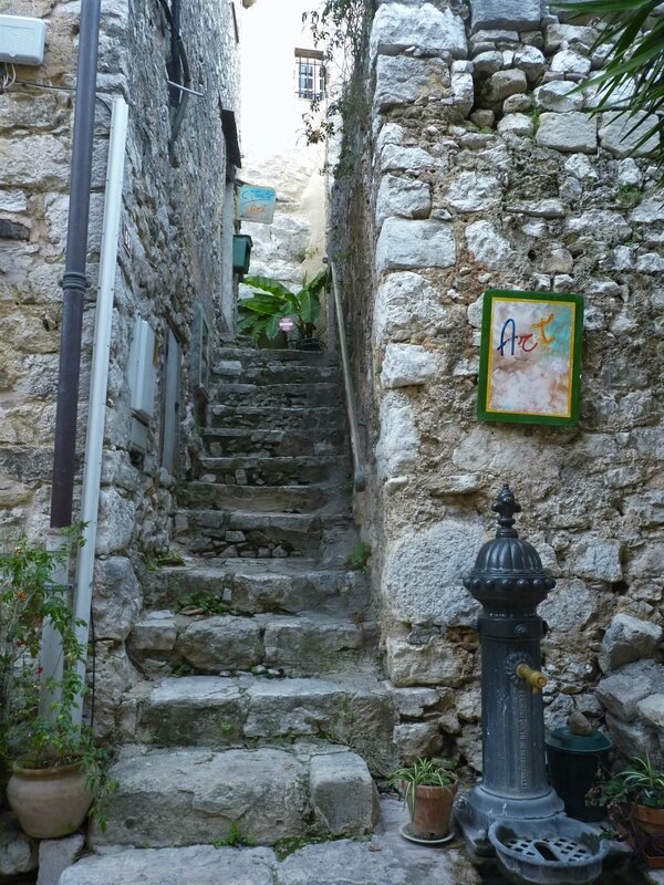 P1110515 (2)