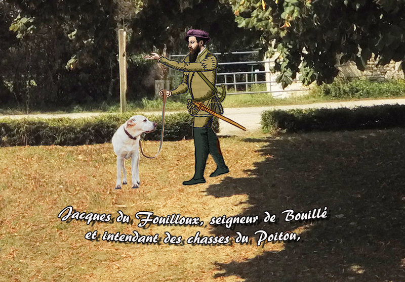 Jacques du Fouilloux seigneur de Bouillé et intendant des chasses du Poitou