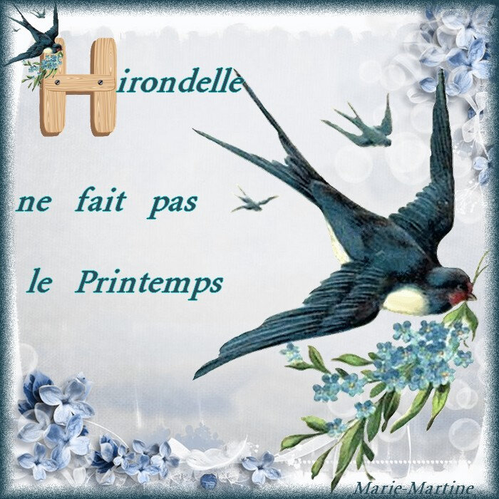 H comme hirondelle