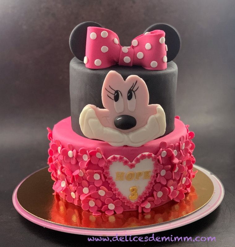 Gâteau Minnie Hope 5