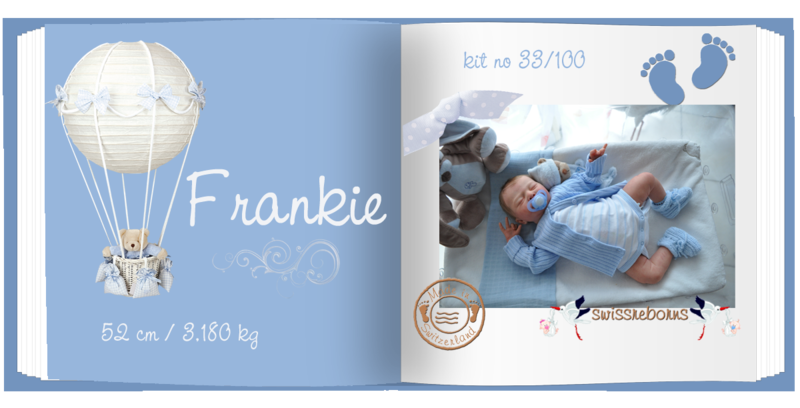 livre little boy Frankie_modifié-1