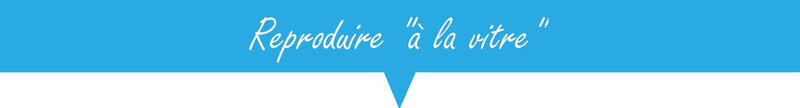 REPRODUIRE 4